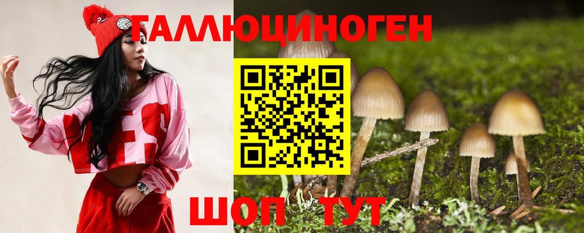 Ирбит  Псилоцибиновые грибы мицелий  Вход с VPN 